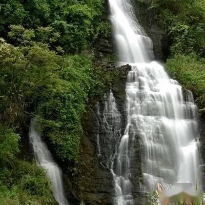 【社会星力量 民政好榜样】王娣:信仰如炬 奋力前行